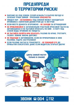 plakat_vertik_s_pravilami.jpg