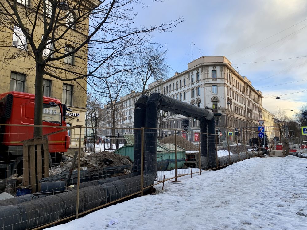 Малодетскосельская