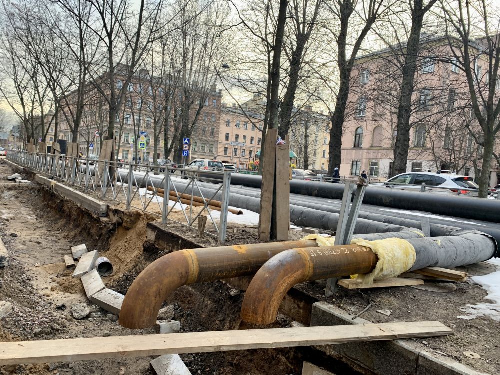 Малодетскосельская