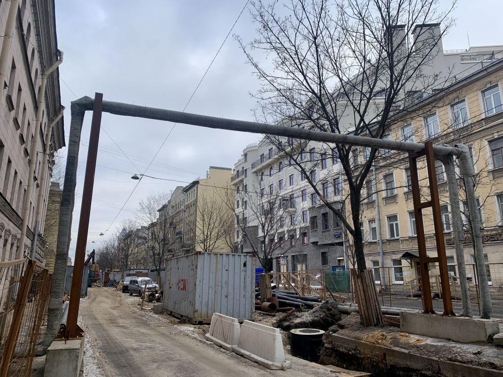 Малодетскосельская